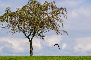 Photography show on display now at MAA gallery